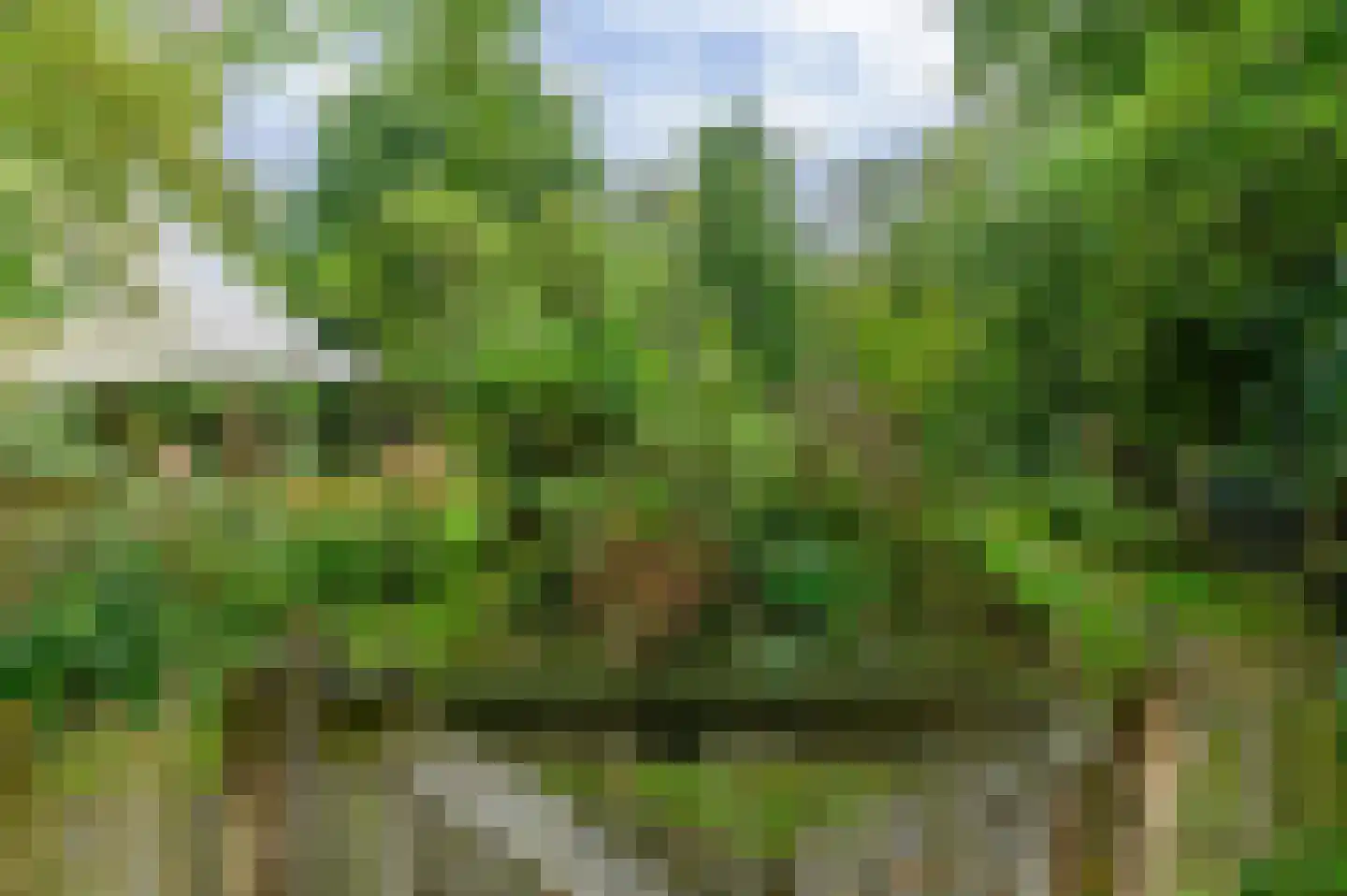 Bij de Leijwei 2 Hoornsterzwaag thumbnail 22