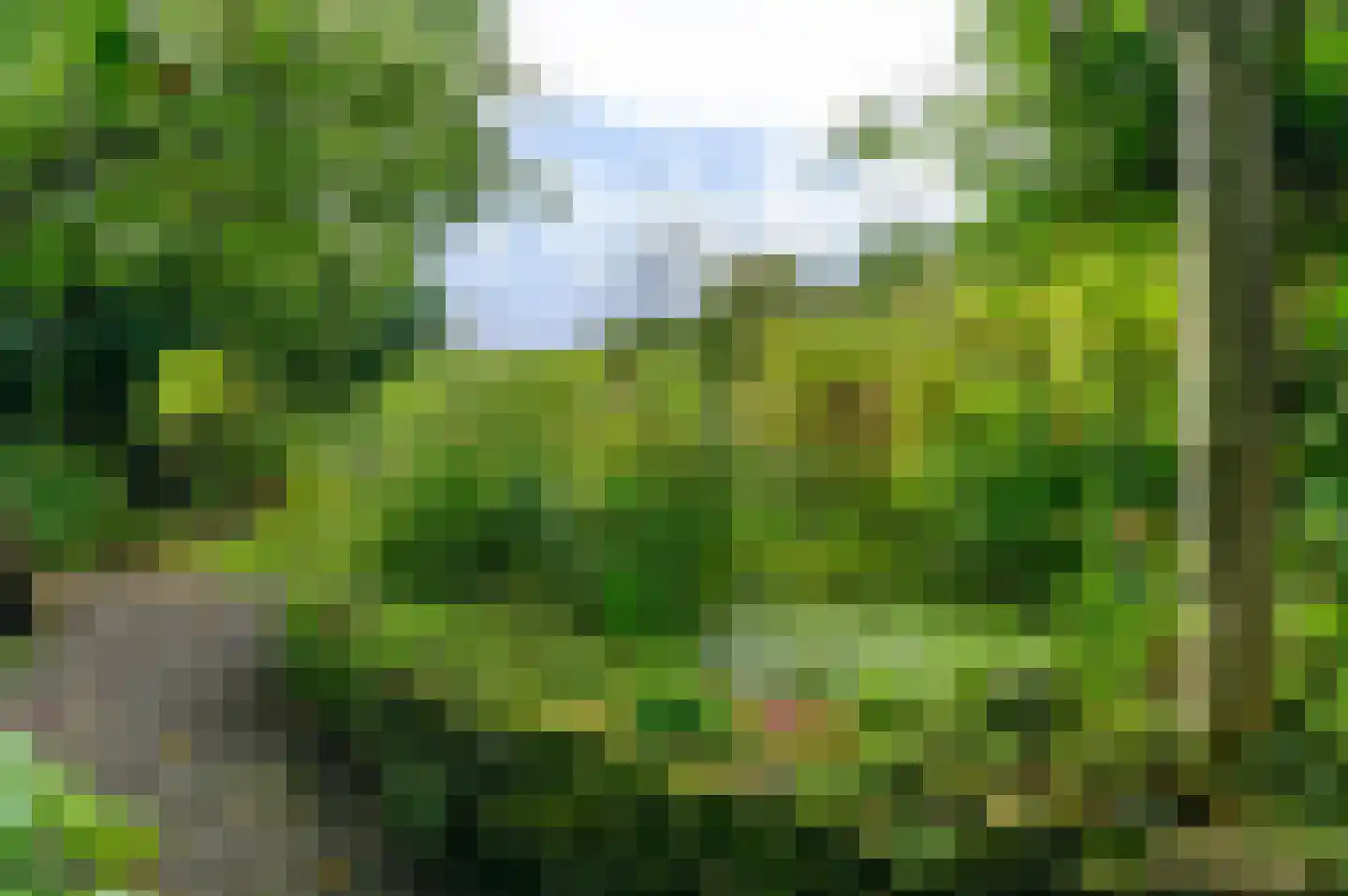 Bij de Leijwei 2 Hoornsterzwaag thumbnail 23