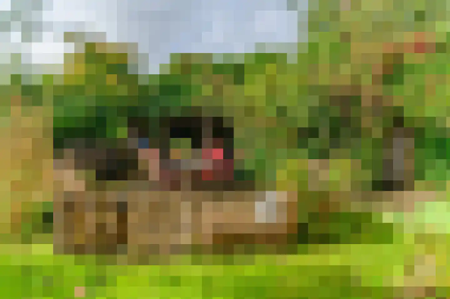 Bij de Leijwei 2 Hoornsterzwaag thumbnail 28