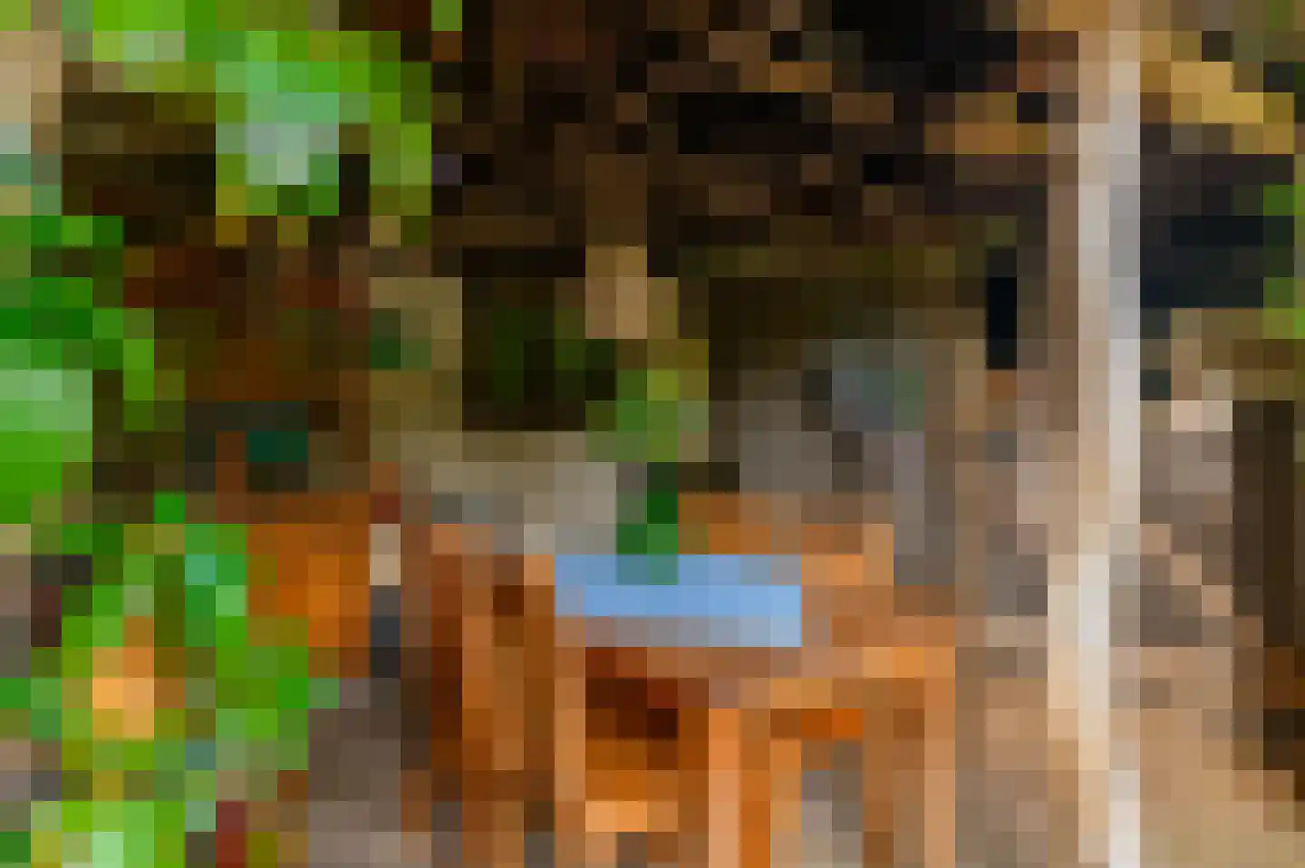 Bij de Leijwei 2 Hoornsterzwaag thumbnail 31