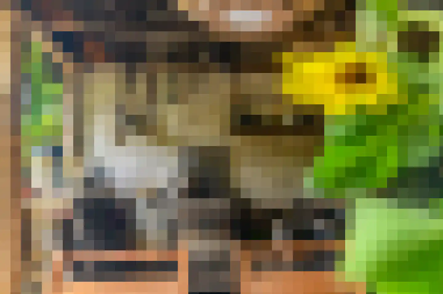 Bij de Leijwei 2 Hoornsterzwaag thumbnail 33
