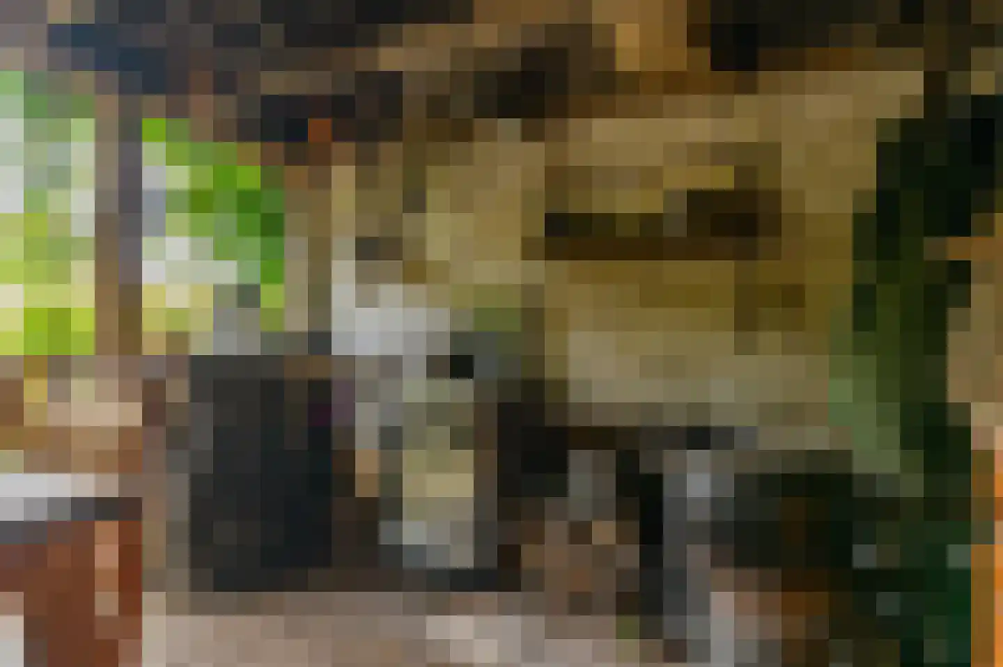 Bij de Leijwei 2 Hoornsterzwaag thumbnail 34