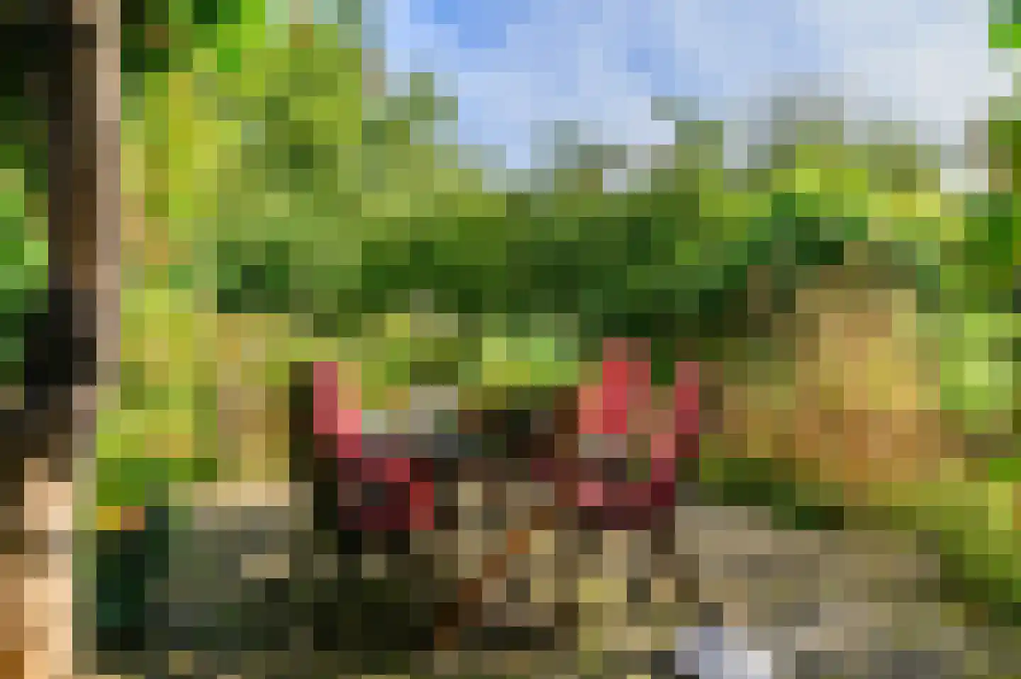Bij de Leijwei 2 Hoornsterzwaag thumbnail 36