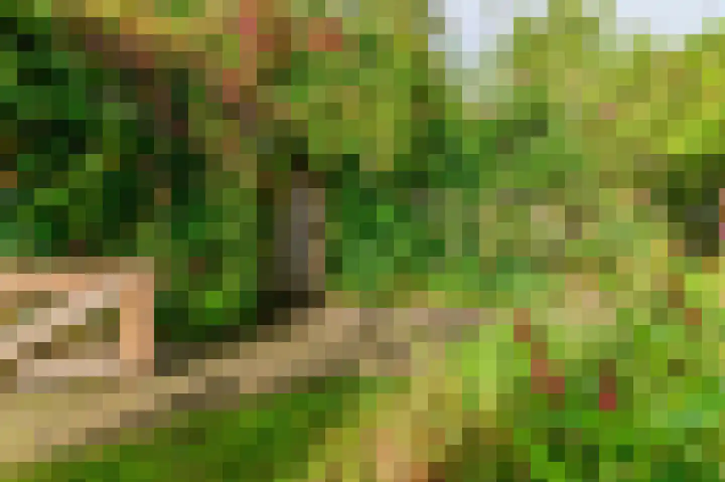 Bij de Leijwei 2 Hoornsterzwaag thumbnail 37