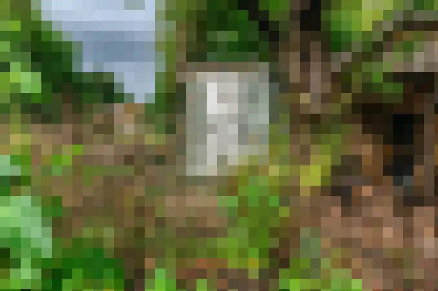 Bij de Leijwei 2 Hoornsterzwaag thumbnail 38