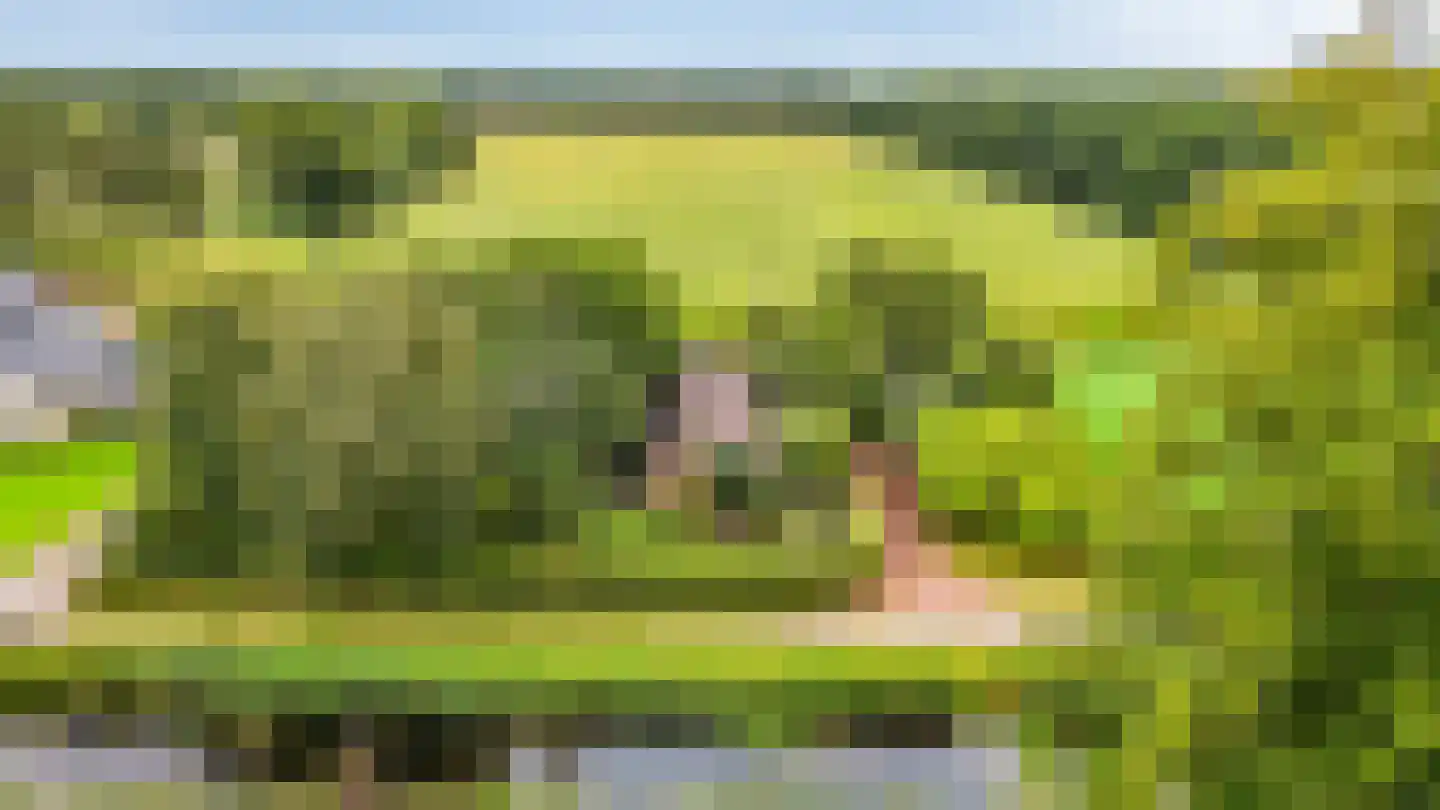 Bij de Leijwei 2 Hoornsterzwaag thumbnail 39