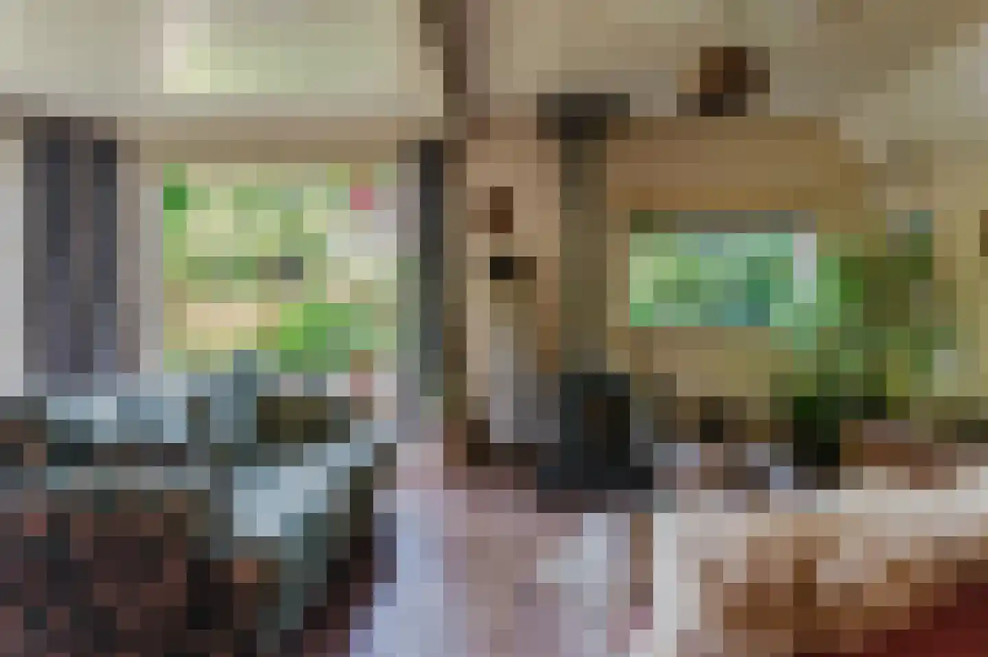 Bij de Leijwei 2 Hoornsterzwaag thumbnail 4