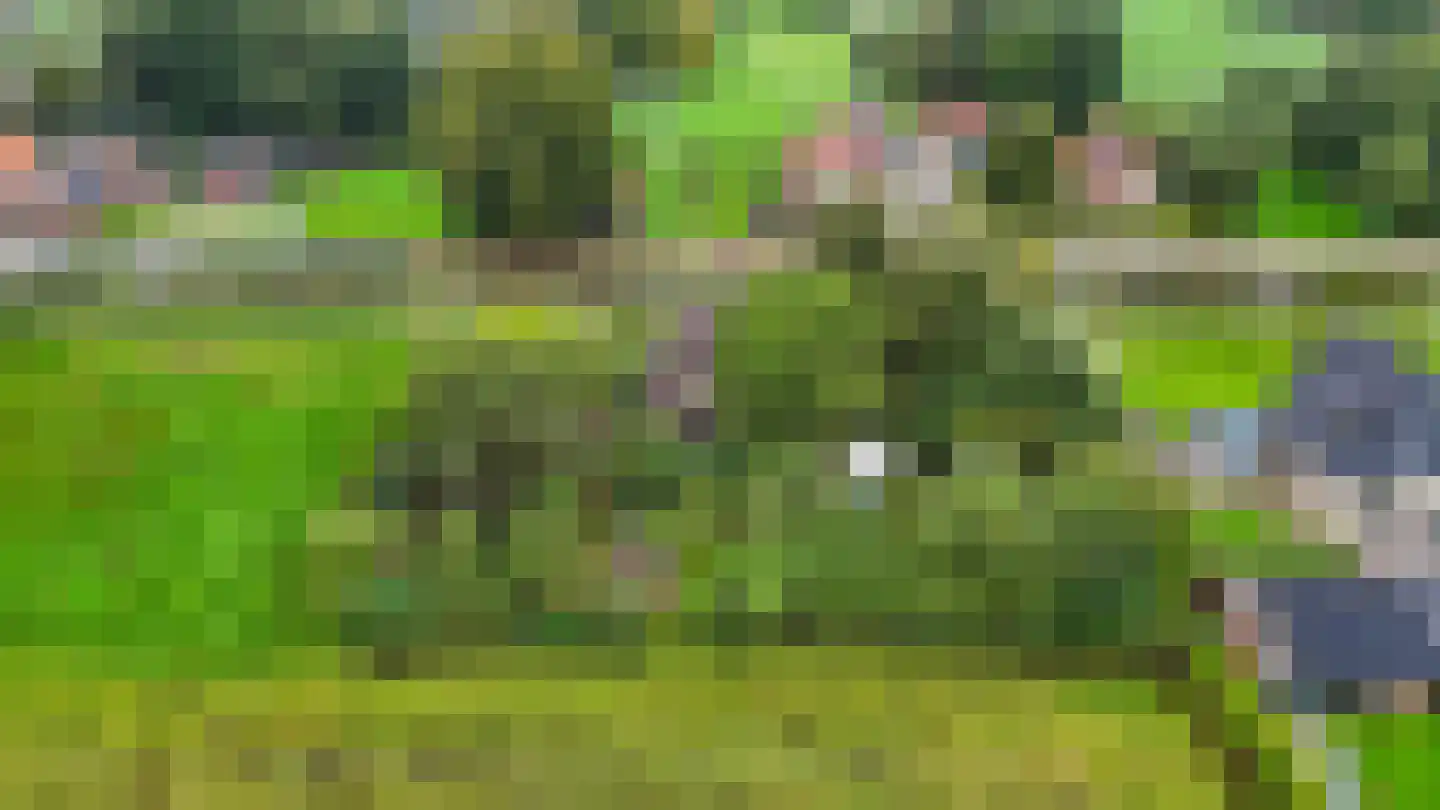 Bij de Leijwei 2 Hoornsterzwaag thumbnail 41