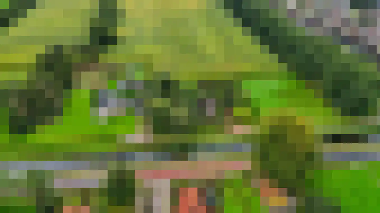 Bij de Leijwei 2 Hoornsterzwaag thumbnail 42