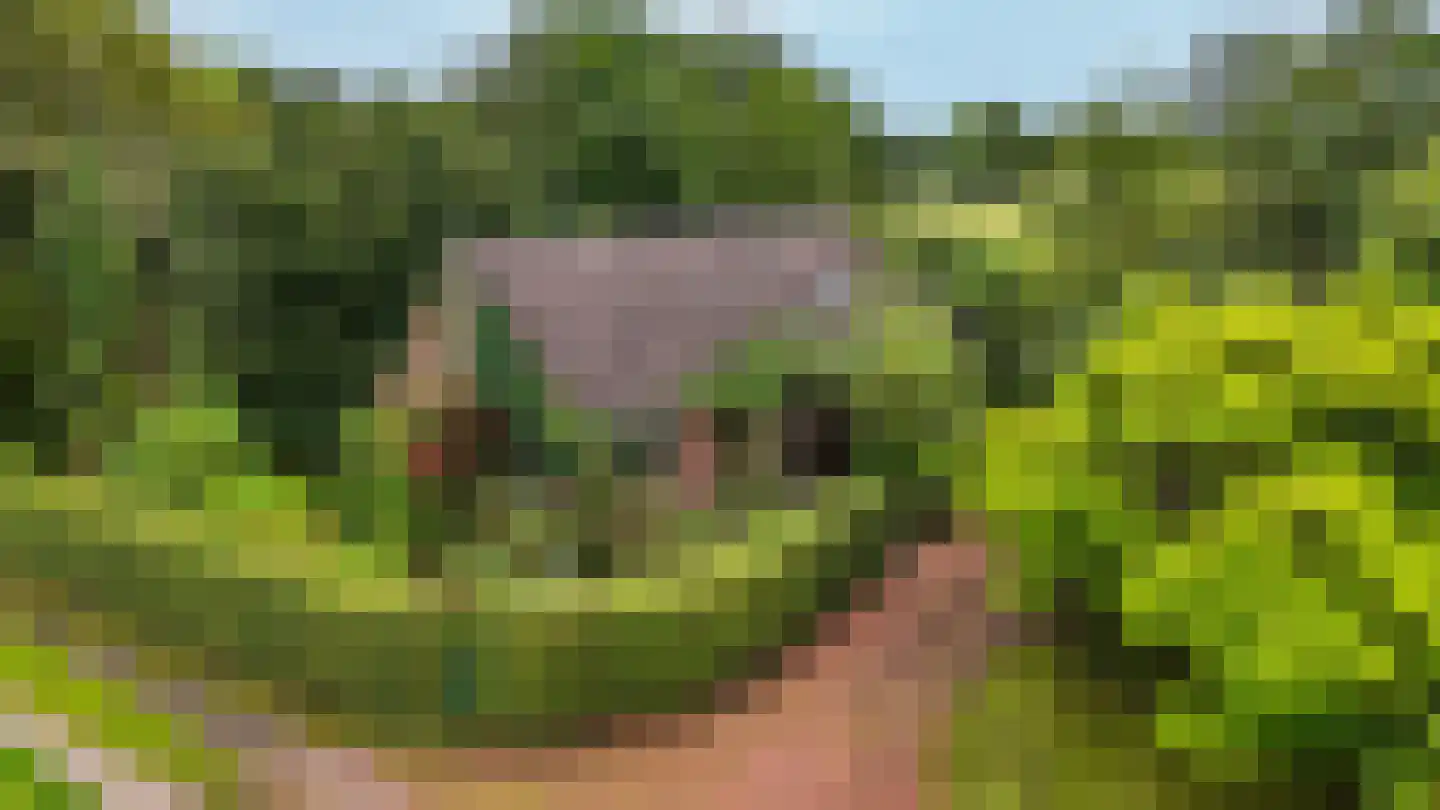 Bij de Leijwei 2 Hoornsterzwaag thumbnail 45