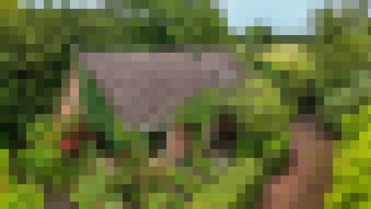 Bij de Leijwei 2 Hoornsterzwaag thumbnail 46