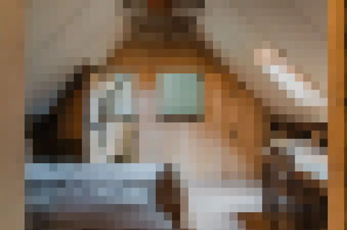 Bij de Leijwei 2 Hoornsterzwaag thumbnail 79