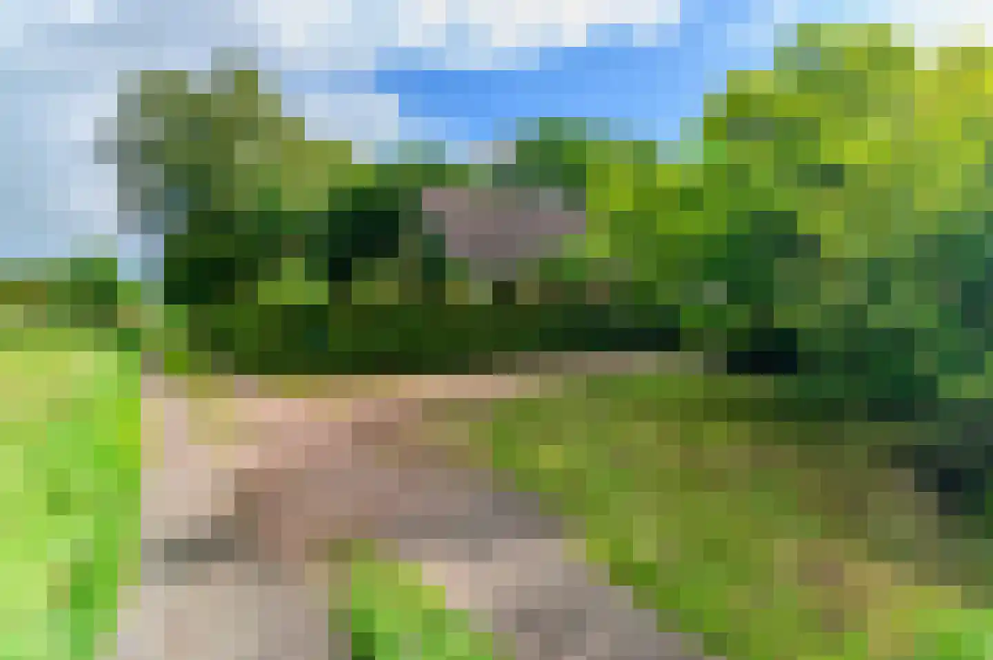 Bij de Leijwei 2 Hoornsterzwaag thumbnail 8