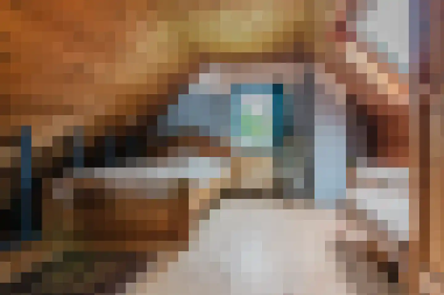 Bij de Leijwei 2 Hoornsterzwaag thumbnail 83