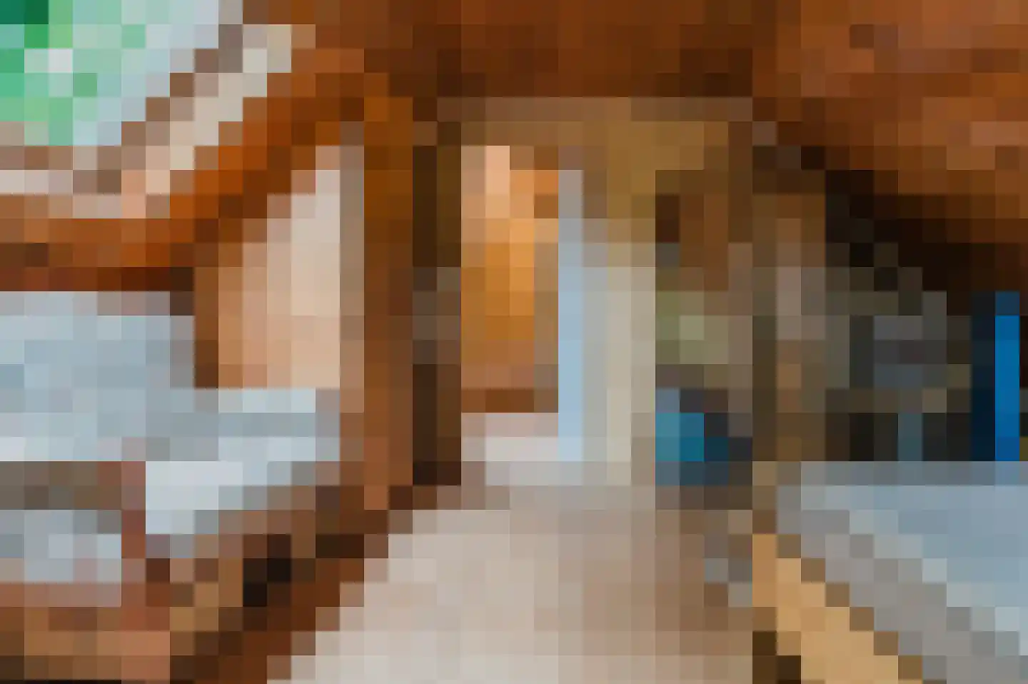 Bij de Leijwei 2 Hoornsterzwaag thumbnail 84