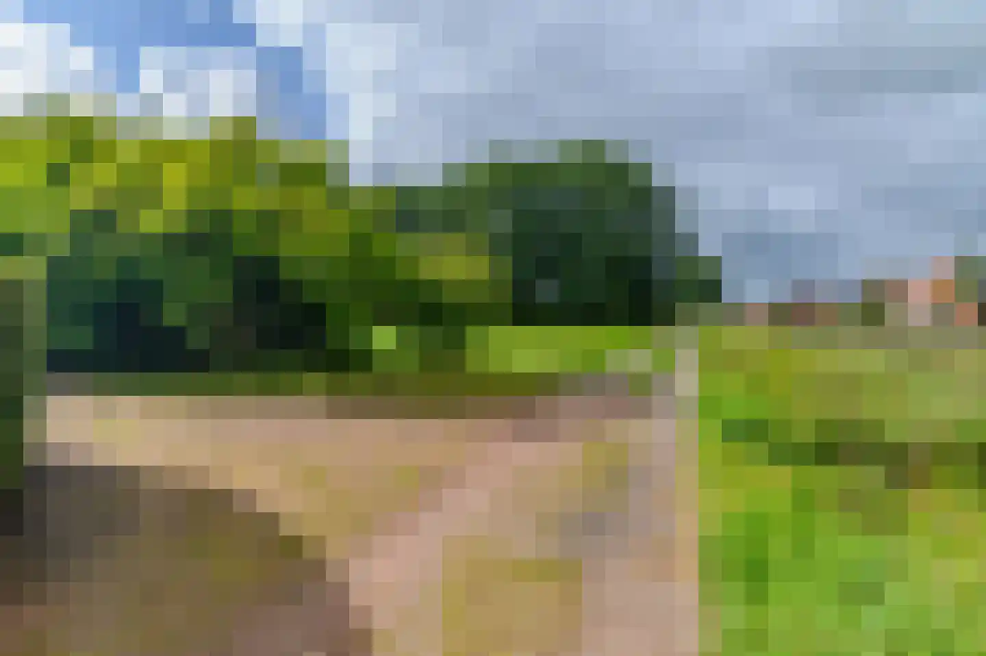 Bij de Leijwei 2 Hoornsterzwaag thumbnail 9