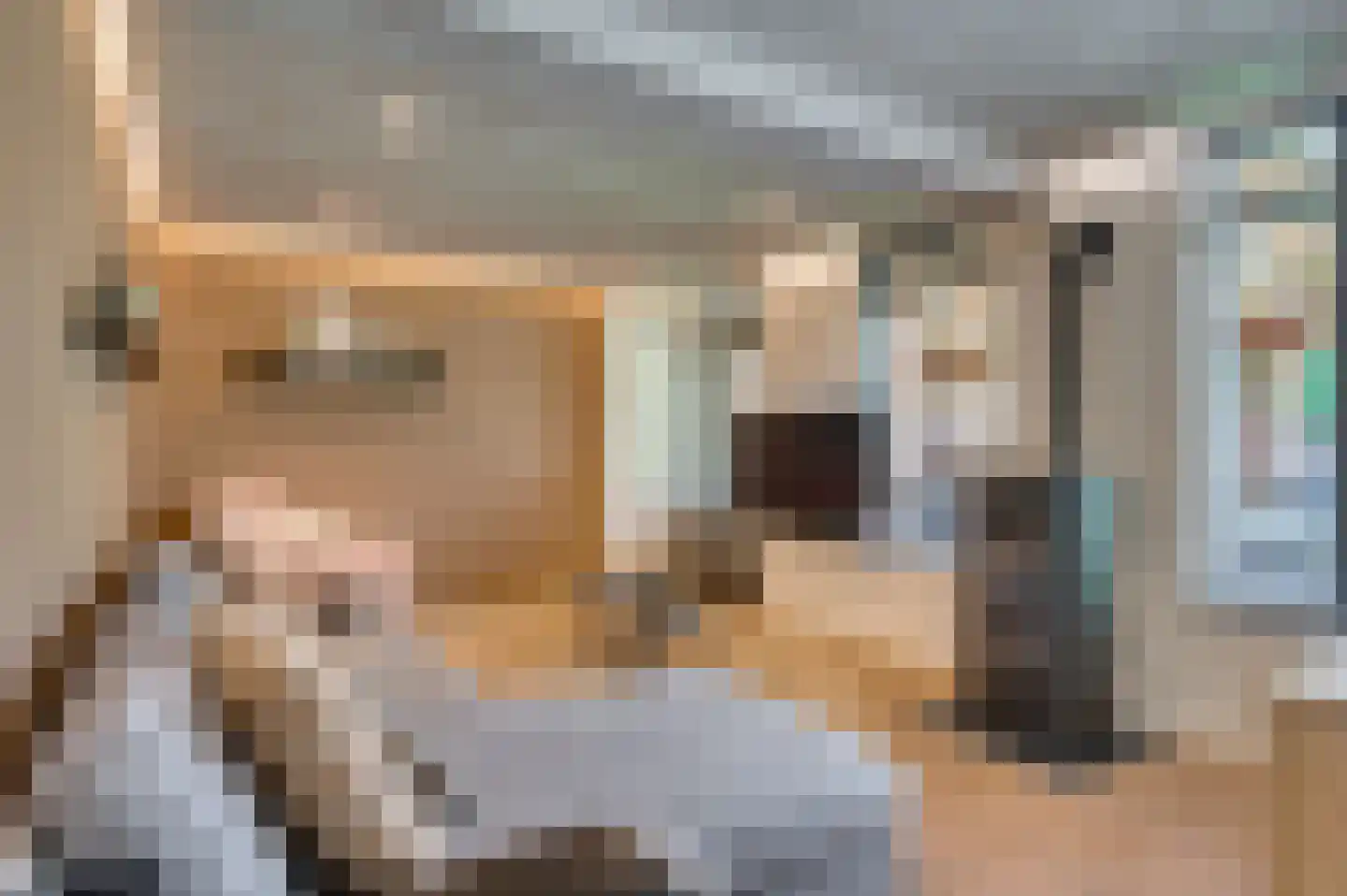 Bij de Postwagen 32 Venlo thumbnail 10