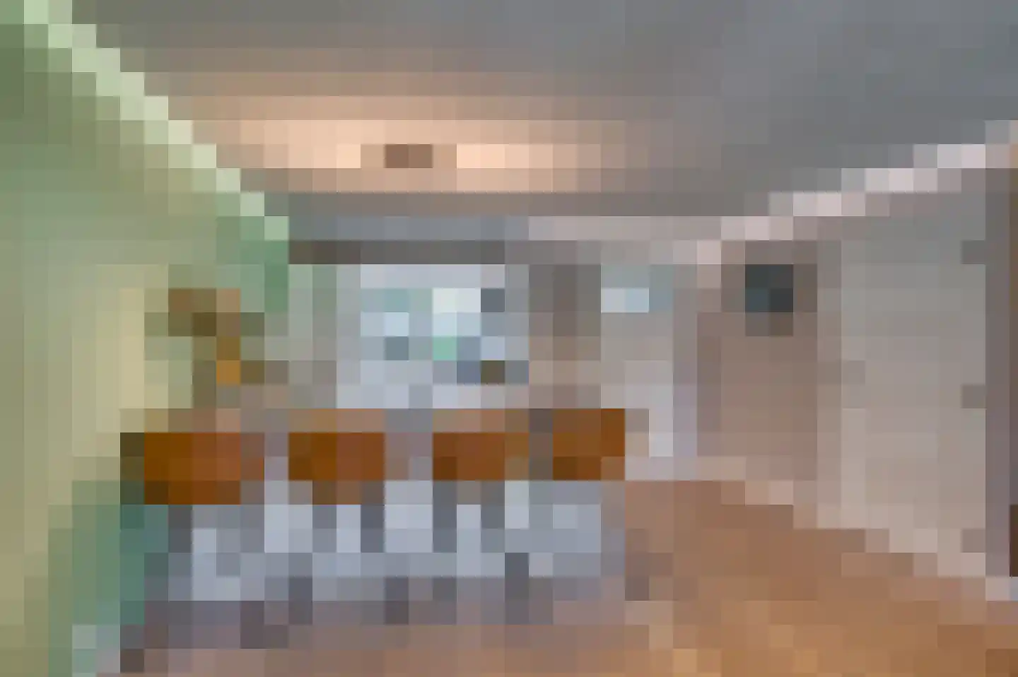 Bij de Postwagen 32 Venlo thumbnail 13