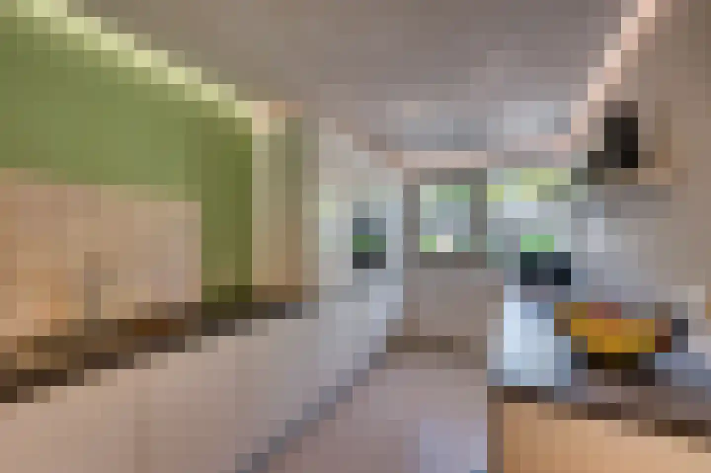 Bij de Postwagen 32 Venlo thumbnail 16