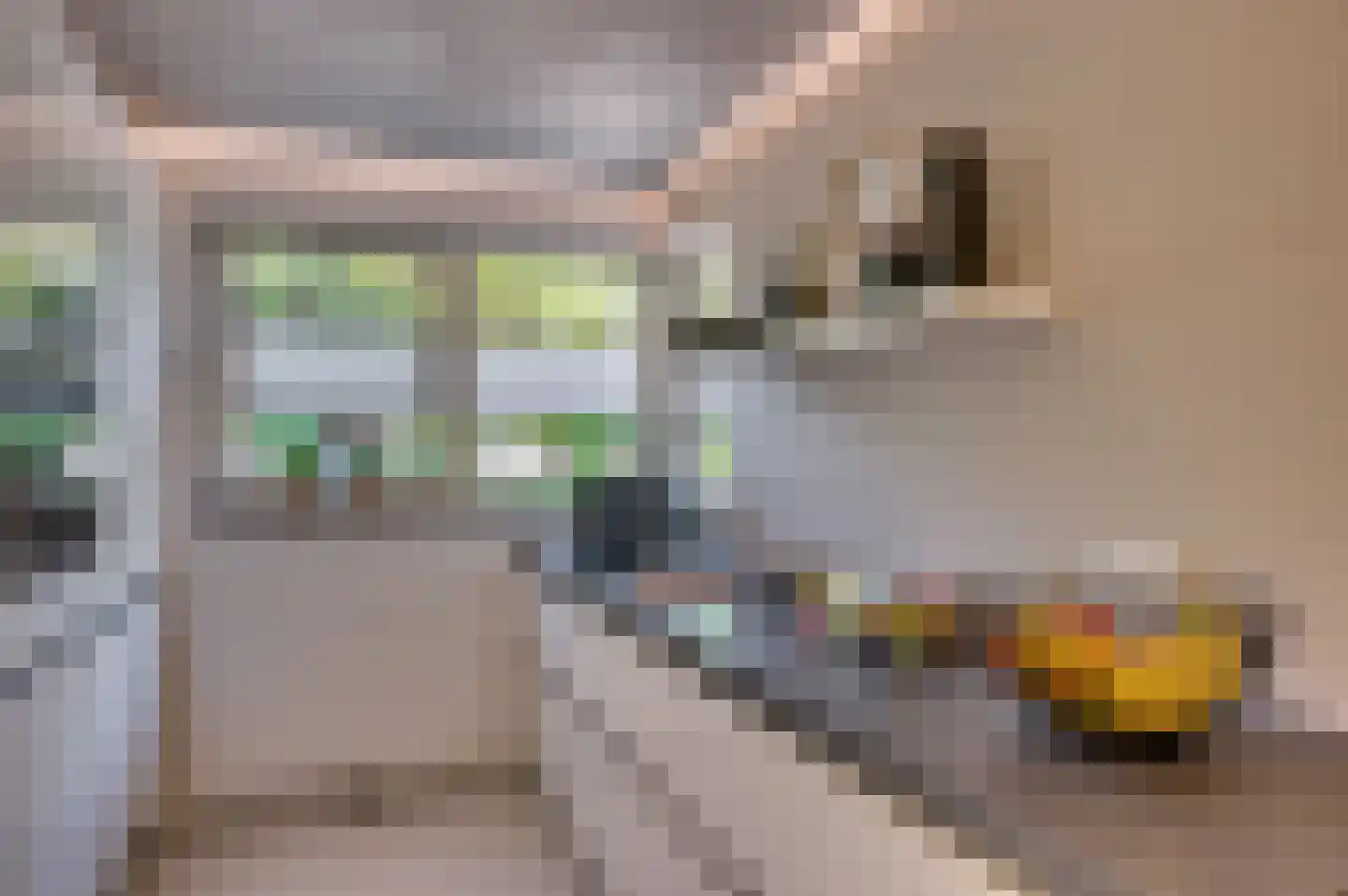 Bij de Postwagen 32 Venlo thumbnail 17