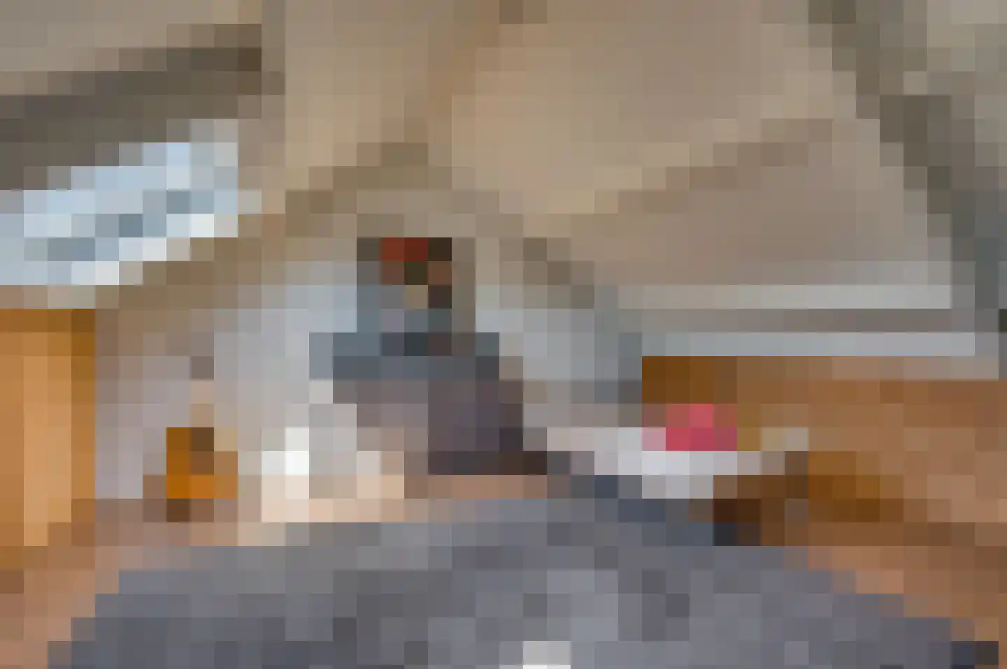Bij de Postwagen 32 Venlo thumbnail 36