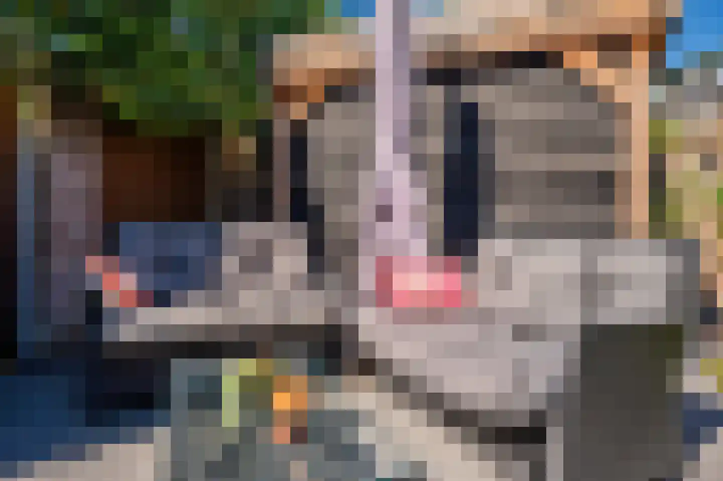 Bij de Postwagen 32 Venlo thumbnail 50