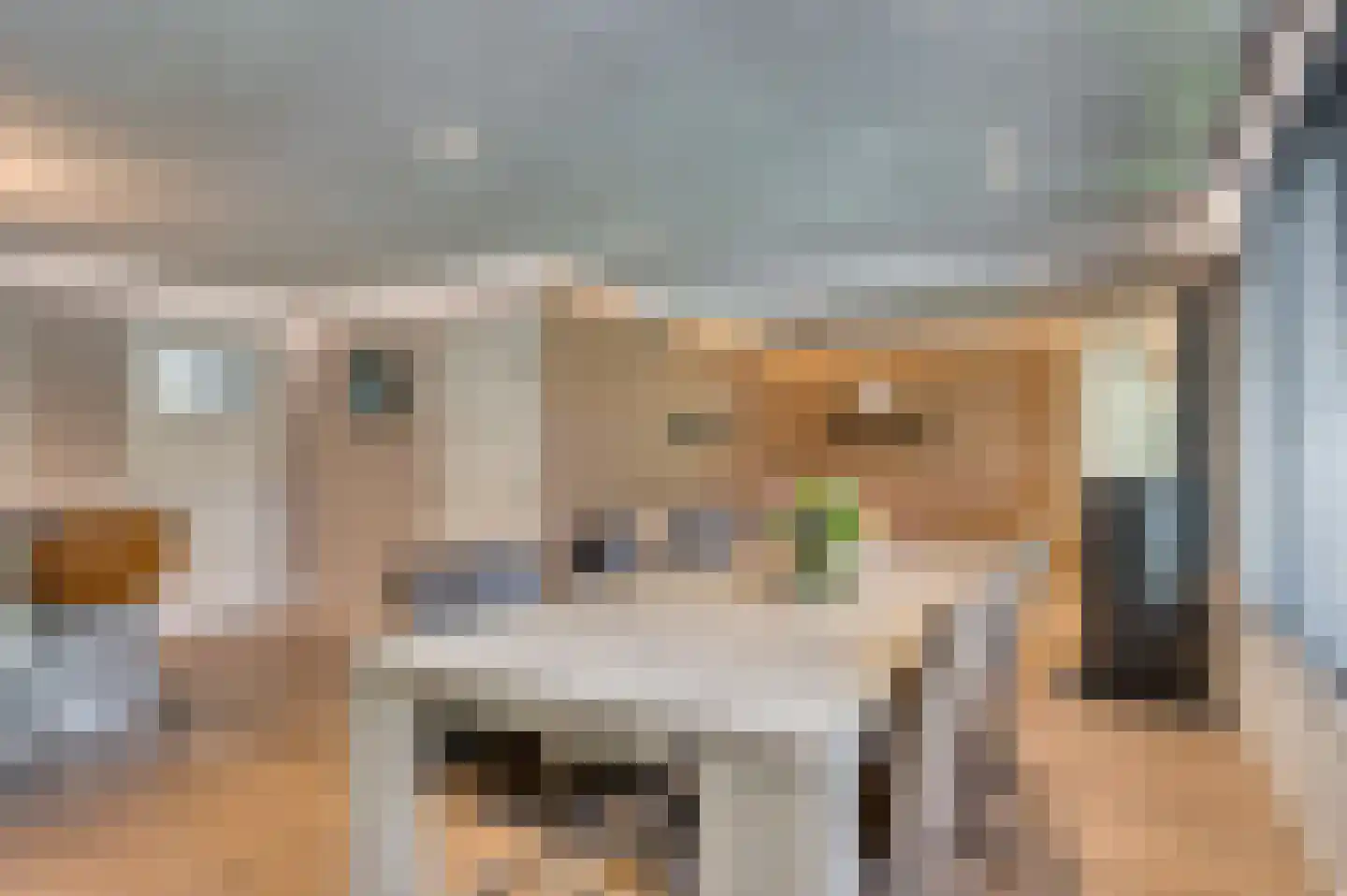 Bij de Postwagen 32 Venlo thumbnail 6