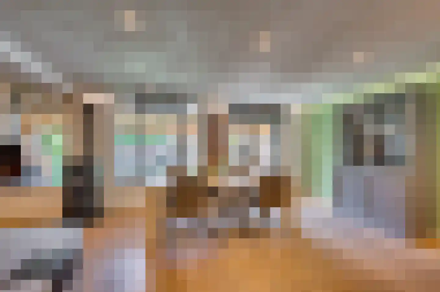 Bij de Postwagen 32 Venlo thumbnail 8