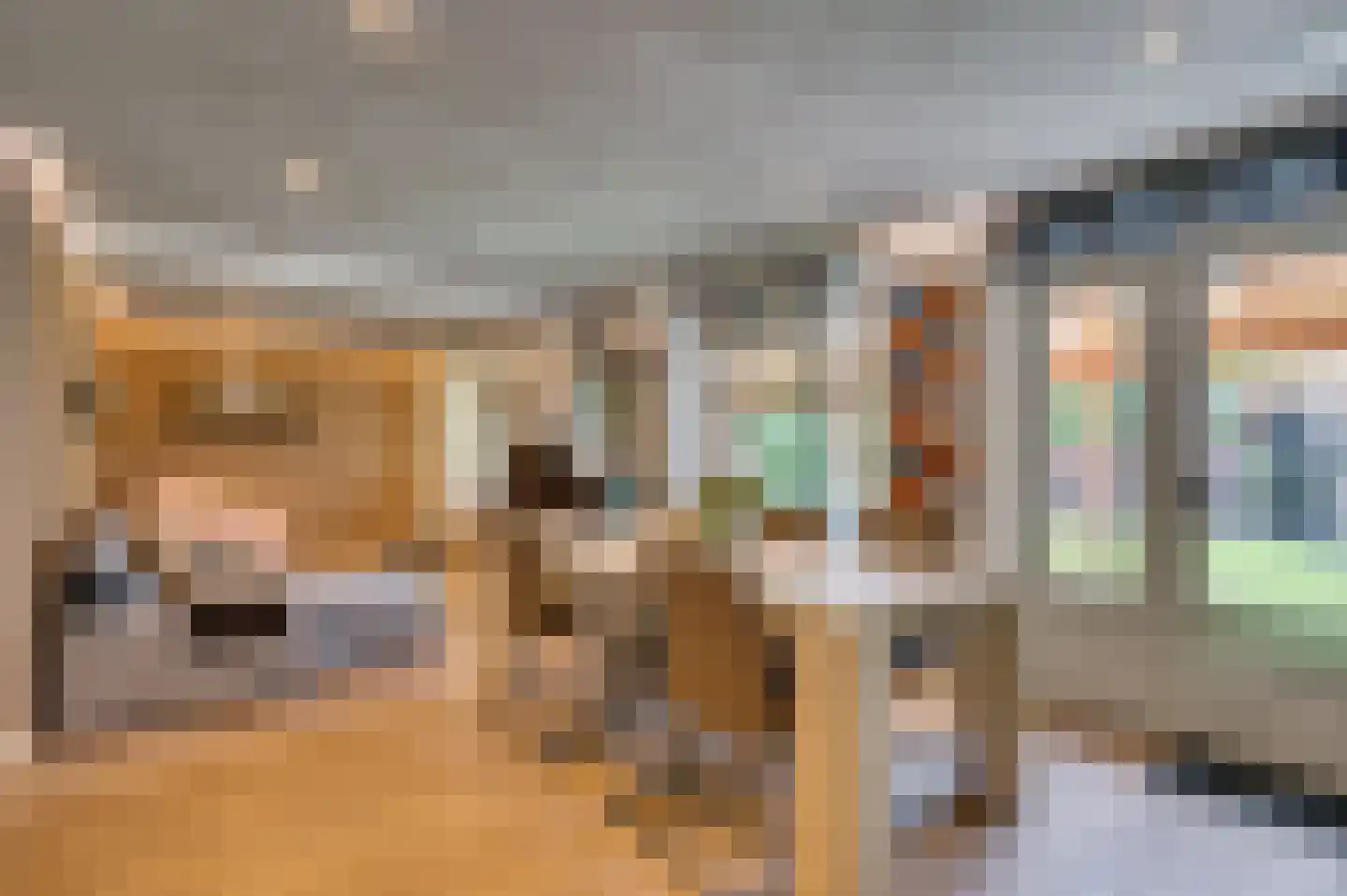 Bij de Postwagen 32 Venlo thumbnail 9