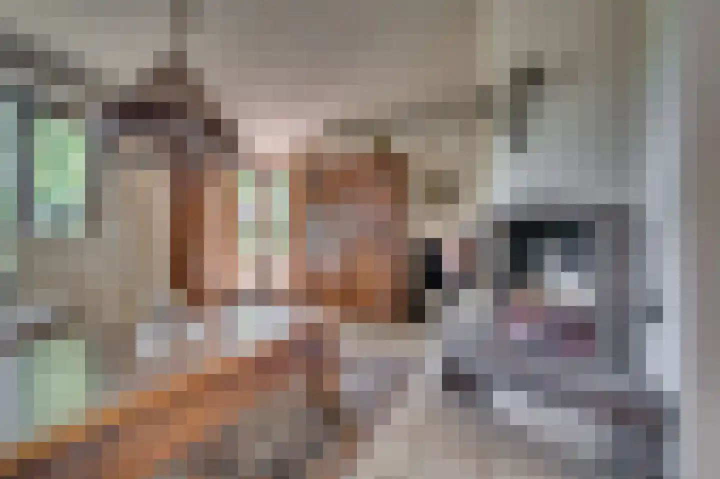 Bij de Postwagen 7 Venlo thumbnail 8