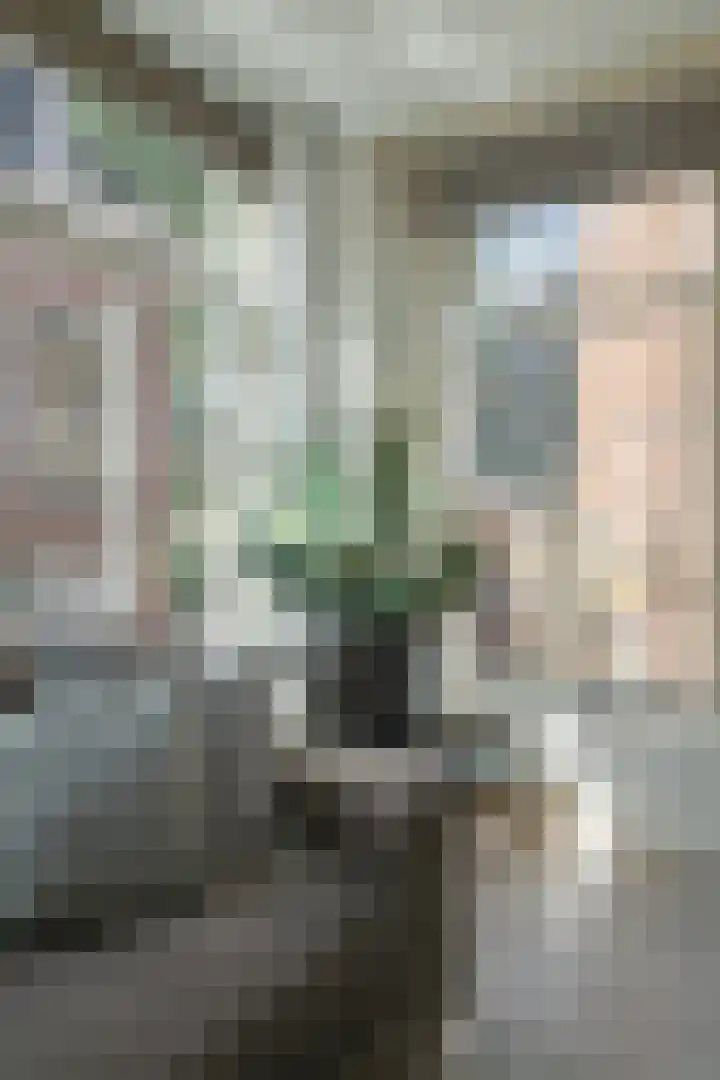 Bij de Put 14 bv Leeuwarden thumbnail 13