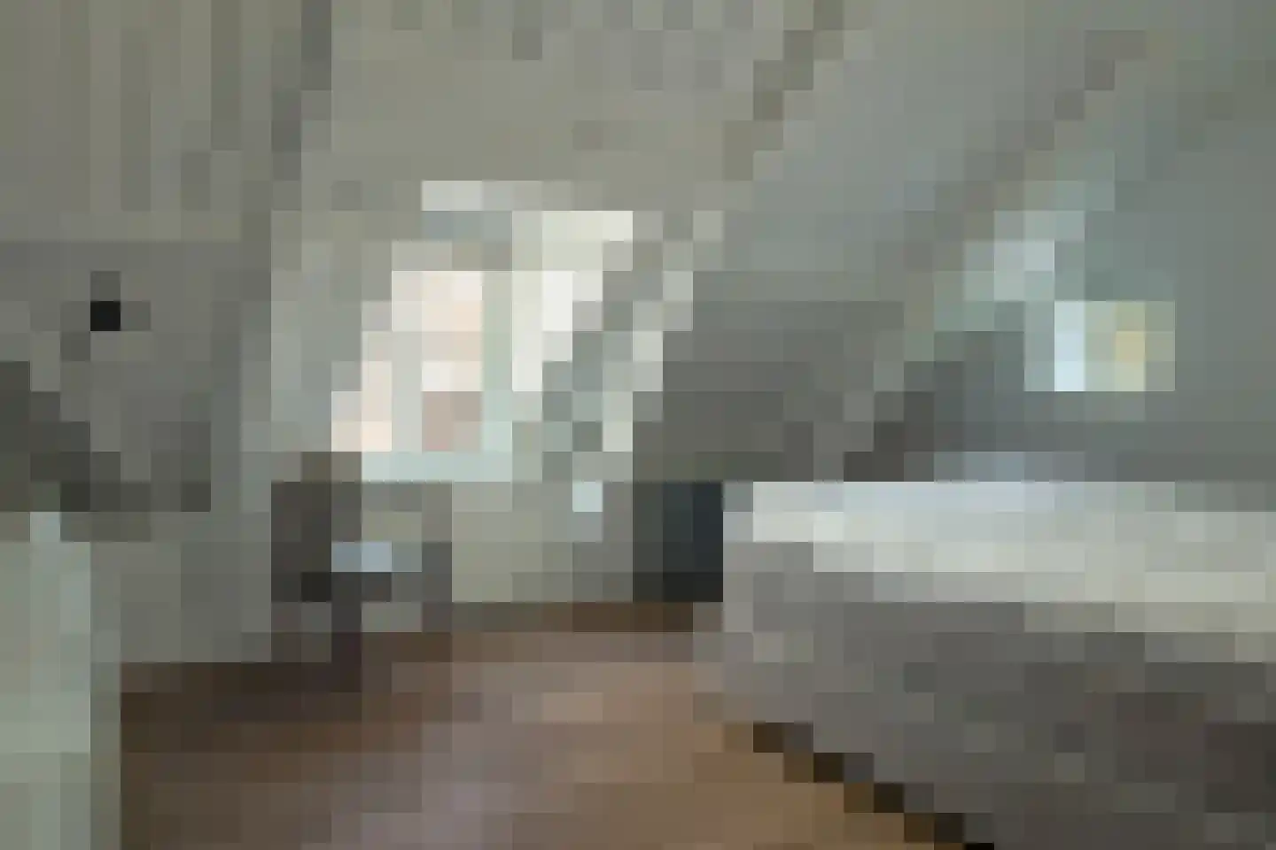 Bij de Put 14 bv Leeuwarden thumbnail 15
