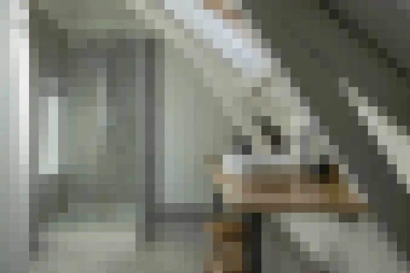 Bij de Put 14 bv Leeuwarden thumbnail 17