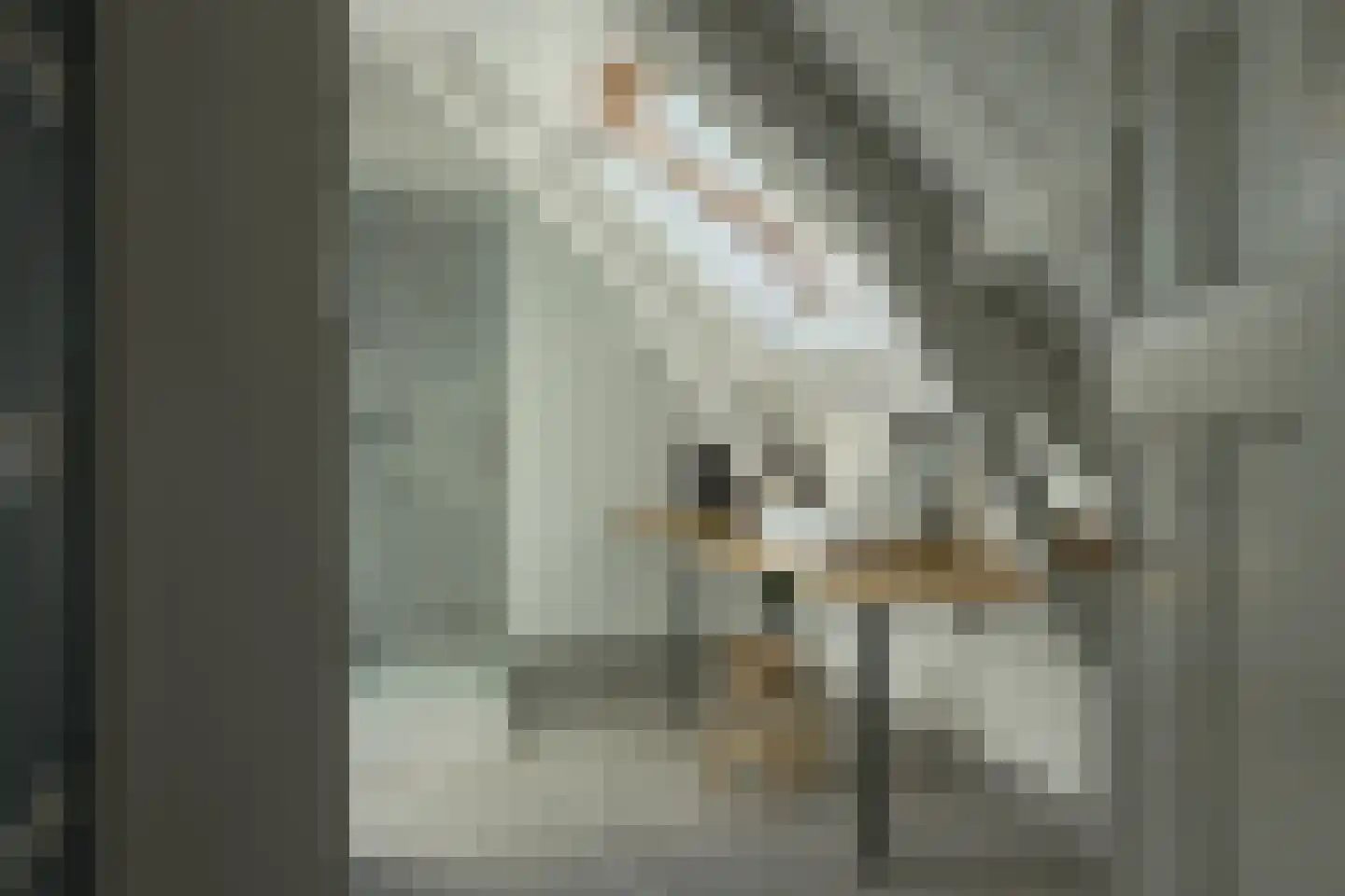 Bij de Put 14 bv Leeuwarden thumbnail 18