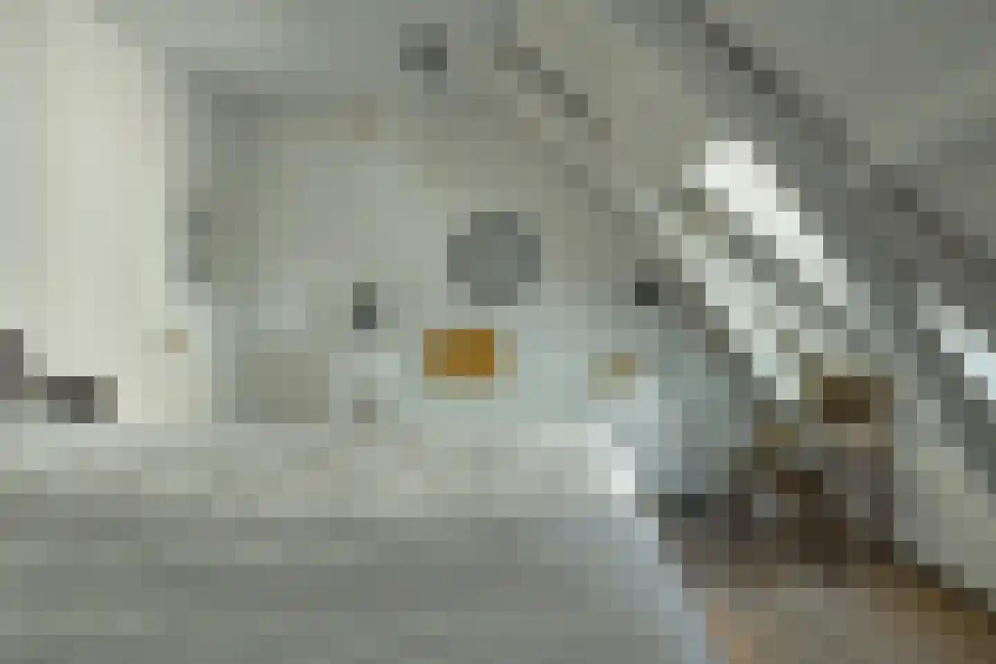 Bij de Put 14 bv Leeuwarden thumbnail 22