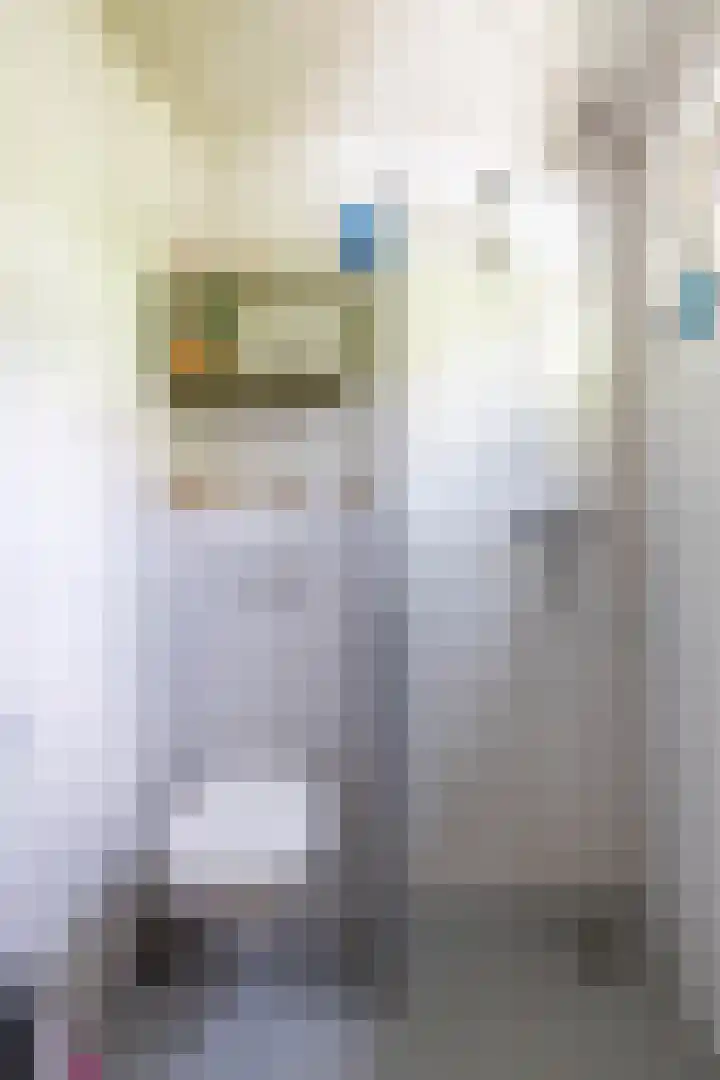 Bij de Sluis 4 Groningen thumbnail 31
