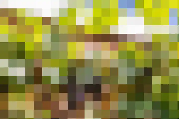 Bij de Sluis 4 Groningen thumbnail 63