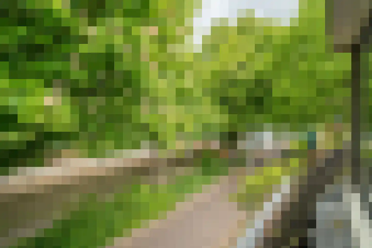 Bij de Sluis 6 Groningen thumbnail 30