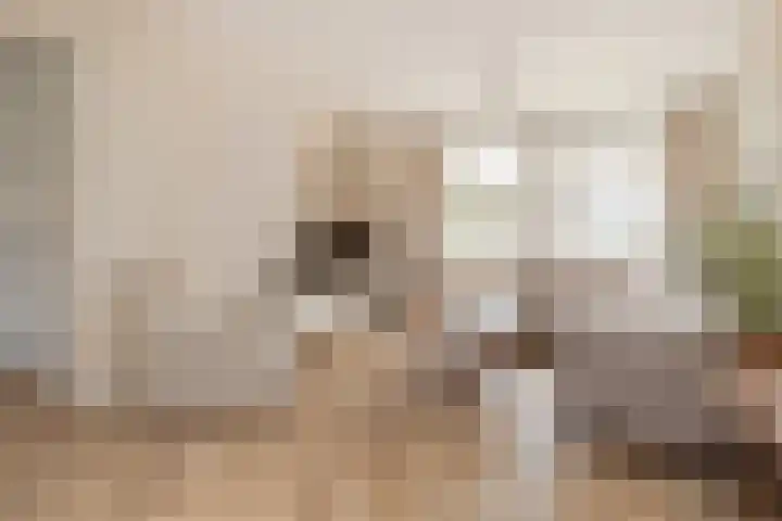 Bij de Vloedgraaf 1 Nieuwstadt thumbnail 11