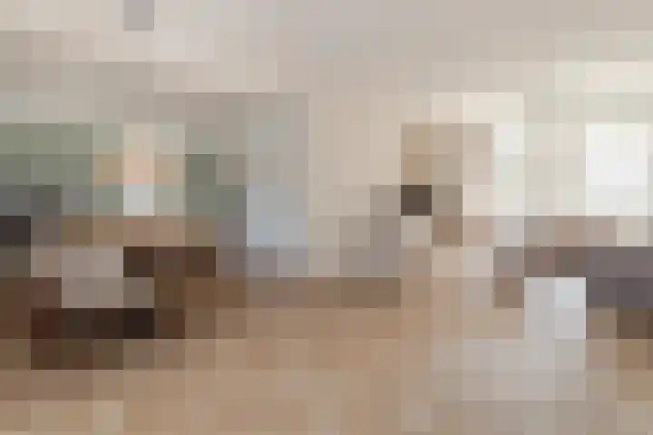Bij de Vloedgraaf 1 Nieuwstadt thumbnail 13