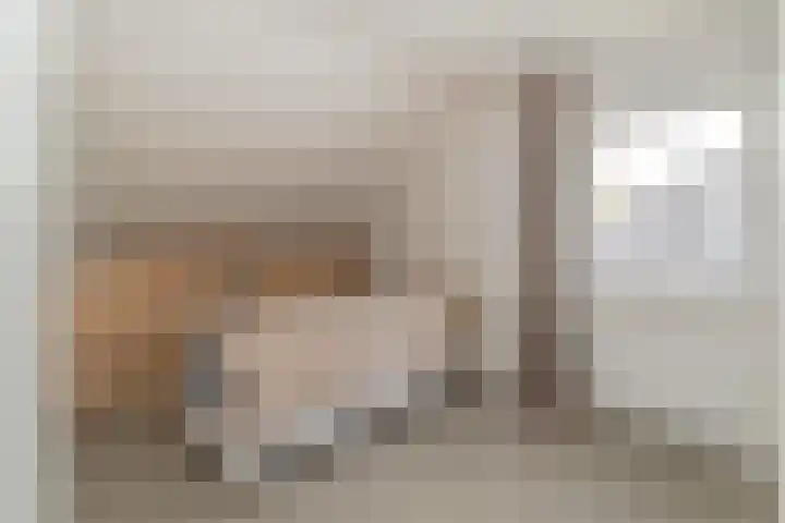 Bij de Vloedgraaf 1 Nieuwstadt thumbnail 27
