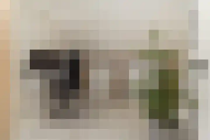 Bij de Vloedgraaf 1 Nieuwstadt thumbnail 29