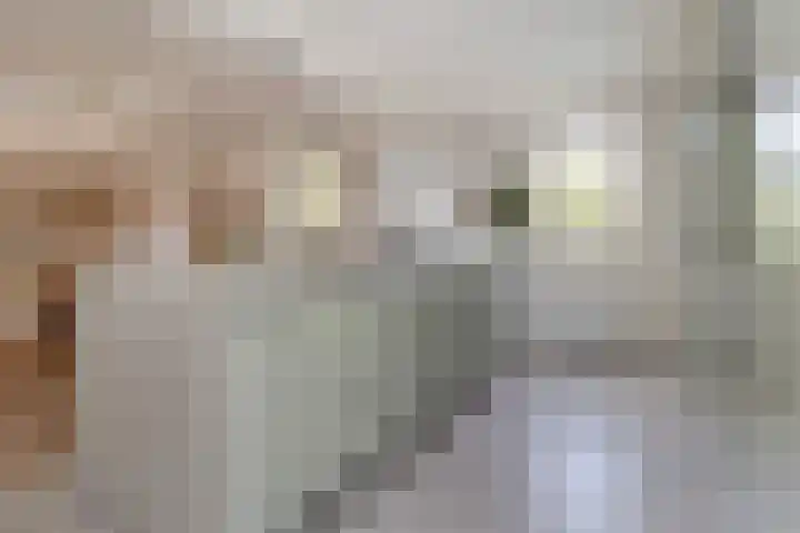Bij de Vloedgraaf 1 Nieuwstadt foto 3