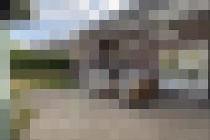 Bij de Vloedgraaf 1 Nieuwstadt thumbnail 32