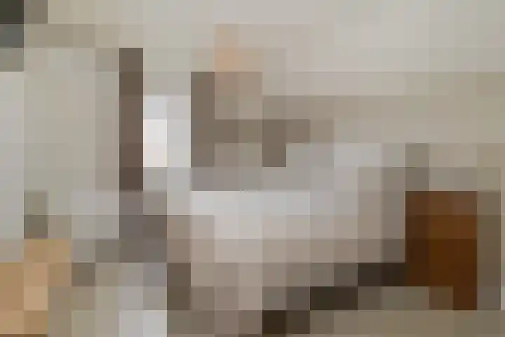 Bij de Vloedgraaf 1 Nieuwstadt thumbnail 4
