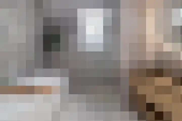 Bij de Vloedgraaf 1 Nieuwstadt thumbnail 5