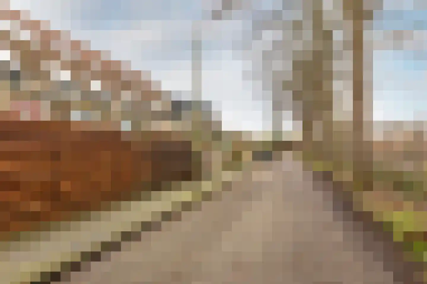 Bij de Watertoren 28 a Schoonhoven thumbnail 44