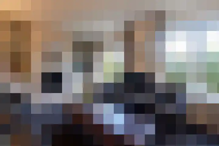 Bij den Toren 10 Laren thumbnail 10