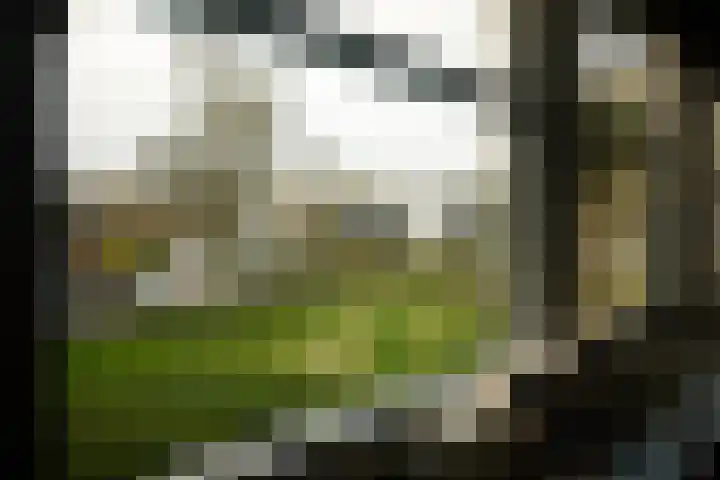 Bij den Toren 10 Laren thumbnail 22