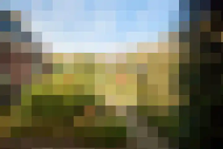 Bij den Toren 10 Laren thumbnail 28